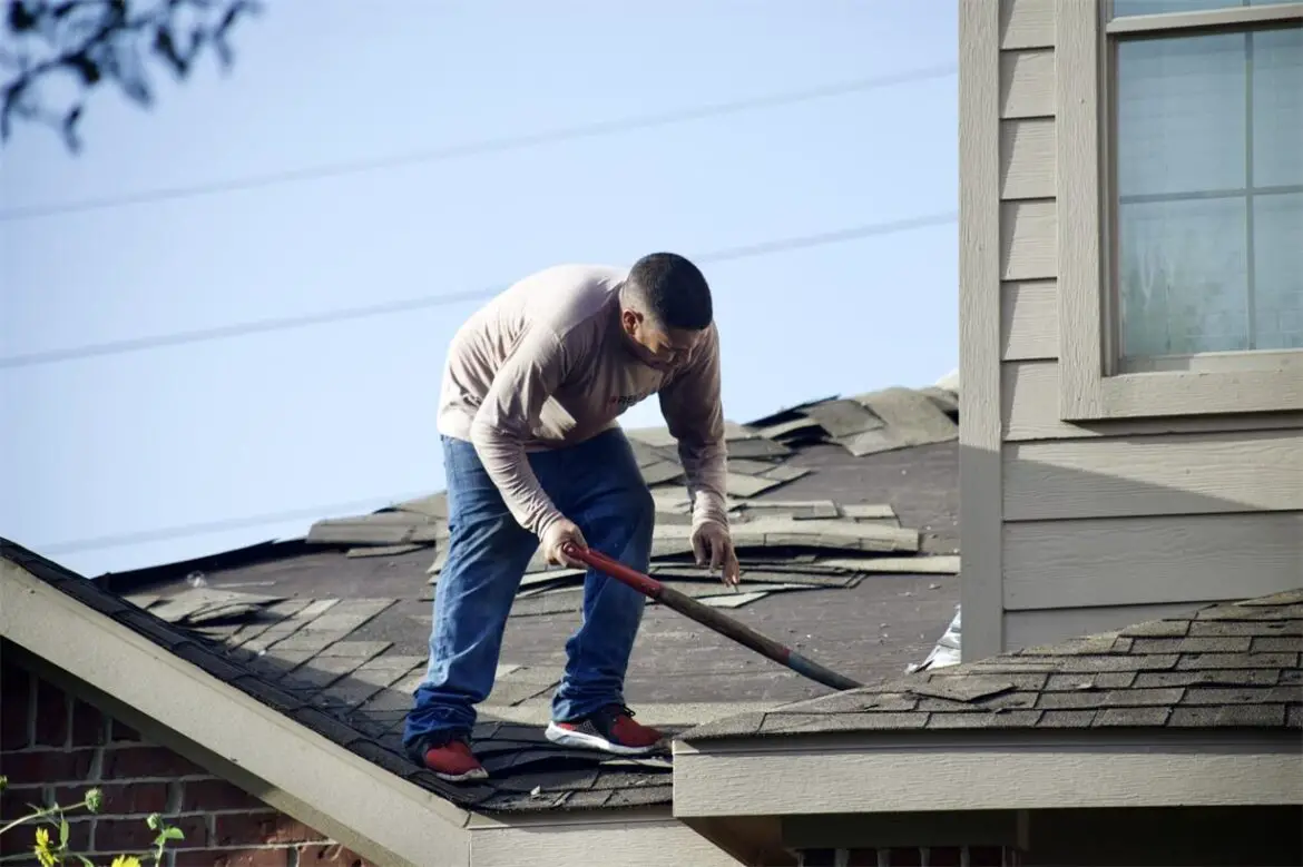 Understanding the Different Types of Roof Maintenance Services Available
